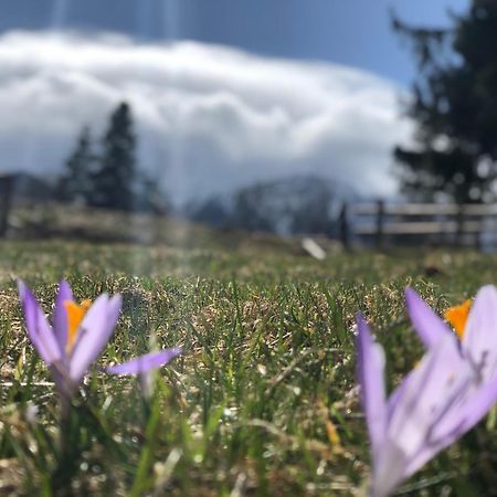 Geovita Zakopane Eksteriør bilde