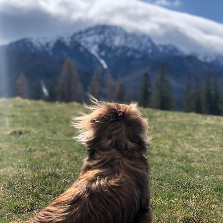 Geovita Zakopane Eksteriør bilde