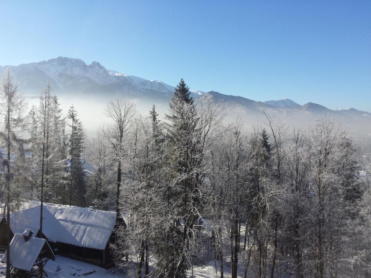 Geovita Zakopane Eksteriør bilde